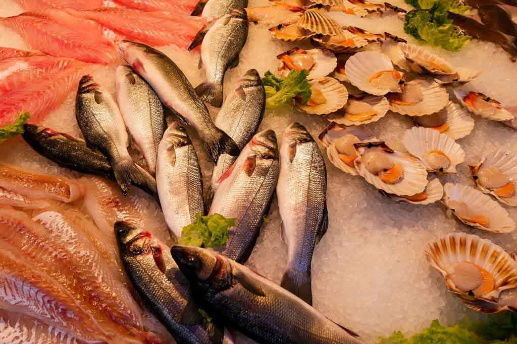 Fresh Vs Frozen Fish Which Should You Buy 